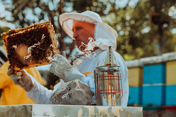 Image showing Beekeeper checking honey on the beehive frame in the field. Beekeeper on apiary. Beekeeper is working with bees and beehives on the apiary.