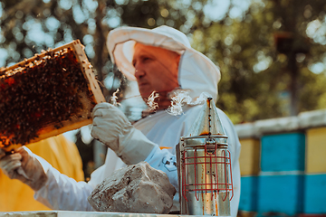 Image showing Beekeeper checking honey on the beehive frame in the field. Beekeeper on apiary. Beekeeper is working with bees and beehives on the apiary.