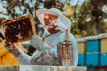 Image showing Beekeeper checking honey on the beehive frame in the field. Beekeeper on apiary. Beekeeper is working with bees and beehives on the apiary.