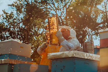 Image showing Beekeepers checking honey on the beehive frame in the field. Small business owners on apiary. Natural healthy food produceris working with bees and beehives on the apiary.