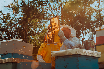 Image showing Beekeepers checking honey on the beehive frame in the field. Small business owners on apiary. Natural healthy food produceris working with bees and beehives on the apiary.