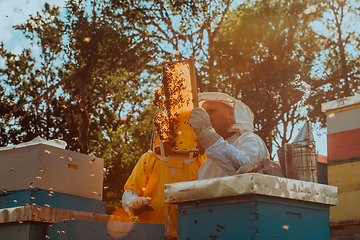 Image showing Beekeepers checking honey on the beehive frame in the field. Small business owners on apiary. Natural healthy food produceris working with bees and beehives on the apiary.