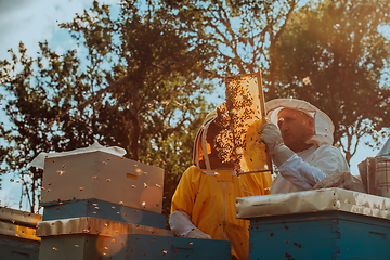 Image showing Beekeepers checking honey on the beehive frame in the field. Small business owners on apiary. Natural healthy food produceris working with bees and beehives on the apiary.