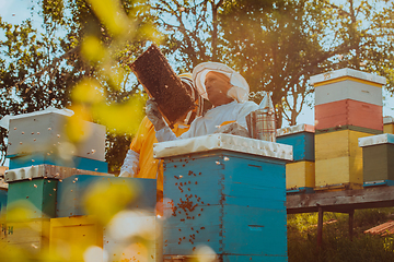 Image showing Beekeepers checking honey on the beehive frame in the field. Small business owners on apiary. Natural healthy food produceris working with bees and beehives on the apiary.