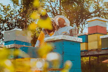 Image showing Beekeepers checking honey on the beehive frame in the field. Small business owners on apiary. Natural healthy food produceris working with bees and beehives on the apiary.