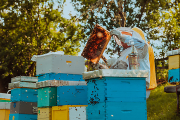 Image showing Beekeepers checking honey on the beehive frame in the field. Small business owners on apiary. Natural healthy food produceris working with bees and beehives on the apiary.