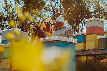 Image showing Beekeepers checking honey on the beehive frame in the field. Small business owners on apiary. Natural healthy food produceris working with bees and beehives on the apiary.