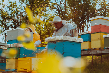 Image showing Beekeepers checking honey on the beehive frame in the field. Small business owners on apiary. Natural healthy food produceris working with bees and beehives on the apiary.