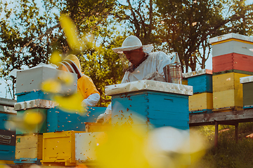 Image showing Beekeepers checking honey on the beehive frame in the field. Small business owners on apiary. Natural healthy food produceris working with bees and beehives on the apiary.