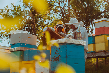 Image showing Beekeepers checking honey on the beehive frame in the field. Small business owners on apiary. Natural healthy food produceris working with bees and beehives on the apiary.