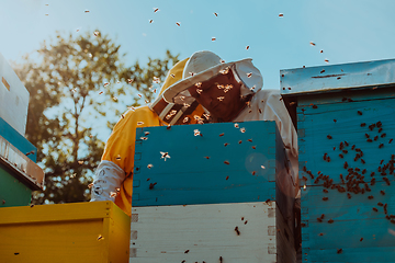 Image showing Beekeepers checking honey on the beehive frame in the field. Small business owners on apiary. Natural healthy food produceris working with bees and beehives on the apiary.