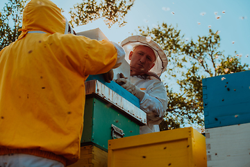 Image showing Beekeepers checking honey on the beehive frame in the field. Small business owners on apiary. Natural healthy food produceris working with bees and beehives on the apiary.