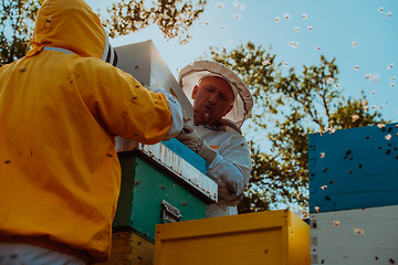 Image showing Beekeepers checking honey on the beehive frame in the field. Small business owners on apiary. Natural healthy food produceris working with bees and beehives on the apiary.