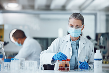 Image showing Woman, blood sample or scientist with research in a science laboratory for medical analysis or innovation. Face mask, medicine development or researcher studying test of DNA or virus in vial tube