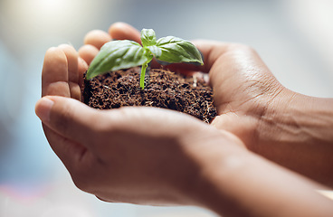 Image showing Hands, person and holding plants for earth day, future sustainability or climate change. Closeup of leaf growth in soil for hope, environment or support of nature, sustainable planet or ngo volunteer