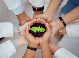 Image showing Hands, support or doctors with plant for teamwork or growth research with mission or unity in hospital. Group, nurse and top view of leaf seedling with soil for solidarity, healthcare or wellness