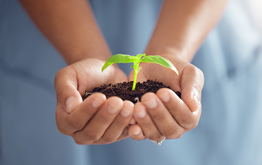 Image showing Hands, person and plants for growth in world, future sustainability and climate change. Closeup of leaf in soil for hope, global environment and support of nature, sustainable planet or ngo volunteer