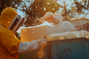 Image showing Beekeepers checking honey on the beehive frame in the field. Small business owners on apiary. Natural healthy food produceris working with bees and beehives on the apiary.