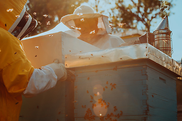 Image showing Beekeepers checking honey on the beehive frame in the field. Small business owners on apiary. Natural healthy food produceris working with bees and beehives on the apiary.