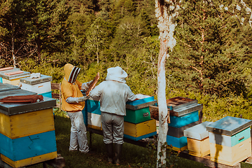 Image showing Beekeepers checking honey on the beehive frame in the field. Small business owners on apiary. Natural healthy food produceris working with bees and beehives on the apiary.