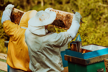 Image showing Beekeepers checking honey on the beehive frame in the field. Small business owners on apiary. Natural healthy food produceris working with bees and beehives on the apiary.