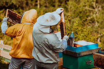 Image showing Beekeepers checking honey on the beehive frame in the field. Small business owners on apiary. Natural healthy food produceris working with bees and beehives on the apiary.