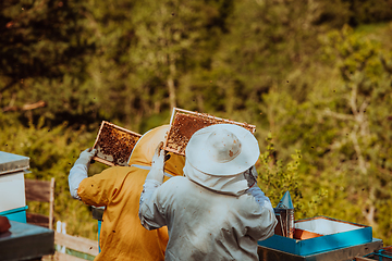 Image showing Beekeepers checking honey on the beehive frame in the field. Small business owners on apiary. Natural healthy food produceris working with bees and beehives on the apiary.