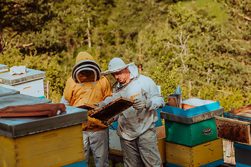 Image showing Beekeepers checking honey on the beehive frame in the field. Small business owners on apiary. Natural healthy food produceris working with bees and beehives on the apiary.