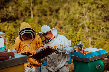 Image showing Beekeepers checking honey on the beehive frame in the field. Small business owners on apiary. Natural healthy food produceris working with bees and beehives on the apiary.