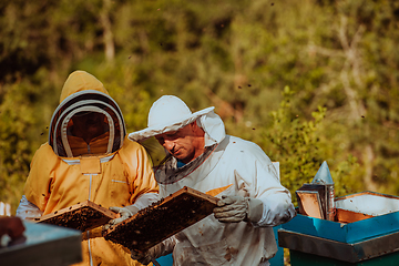 Image showing Beekeepers checking honey on the beehive frame in the field. Small business owners on apiary. Natural healthy food produceris working with bees and beehives on the apiary.