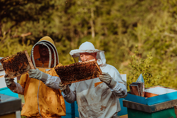 Image showing Beekeepers checking honey on the beehive frame in the field. Small business owners on apiary. Natural healthy food produceris working with bees and beehives on the apiary.