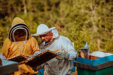 Image showing Beekeepers checking honey on the beehive frame in the field. Small business owners on apiary. Natural healthy food produceris working with bees and beehives on the apiary.