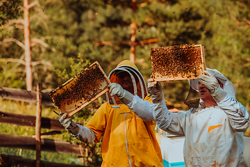 Image showing Beekeepers checking honey on the beehive frame in the field. Small business owners on apiary. Natural healthy food produceris working with bees and beehives on the apiary.