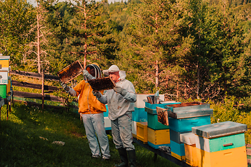 Image showing Beekeepers checking honey on the beehive frame in the field. Small business owners on apiary. Natural healthy food produceris working with bees and beehives on the apiary.