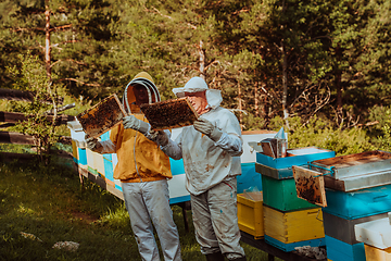 Image showing Beekeepers checking honey on the beehive frame in the field. Small business owners on apiary. Natural healthy food produceris working with bees and beehives on the apiary.