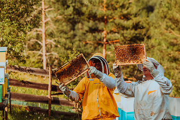 Image showing Beekeepers checking honey on the beehive frame in the field. Small business owners on apiary. Natural healthy food produceris working with bees and beehives on the apiary.