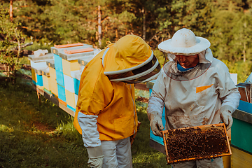 Image showing Beekeepers checking honey on the beehive frame in the field. Small business owners on apiary. Natural healthy food produceris working with bees and beehives on the apiary.