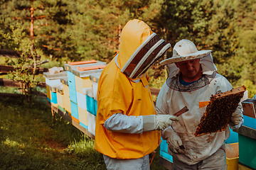 Image showing Beekeepers checking honey on the beehive frame in the field. Small business owners on apiary. Natural healthy food produceris working with bees and beehives on the apiary.