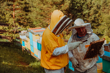 Image showing Beekeepers checking honey on the beehive frame in the field. Small business owners on apiary. Natural healthy food produceris working with bees and beehives on the apiary.