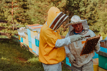 Image showing Beekeepers checking honey on the beehive frame in the field. Small business owners on apiary. Natural healthy food produceris working with bees and beehives on the apiary.