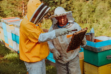 Image showing Beekeepers checking honey on the beehive frame in the field. Small business owners on apiary. Natural healthy food produceris working with bees and beehives on the apiary.