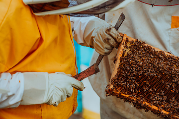 Image showing Beekeepers checking honey on the beehive frame in the field. Small business owners on apiary. Natural healthy food produceris working with bees and beehives on the apiary.