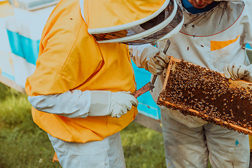 Image showing Beekeepers checking honey on the beehive frame in the field. Small business owners on apiary. Natural healthy food produceris working with bees and beehives on the apiary.