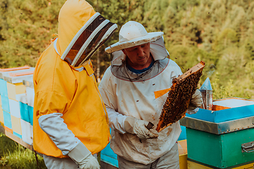 Image showing Beekeepers checking honey on the beehive frame in the field. Small business owners on apiary. Natural healthy food produceris working with bees and beehives on the apiary.