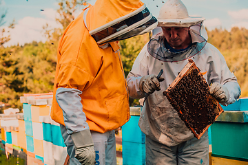 Image showing Beekeepers checking honey on the beehive frame in the field. Small business owners on apiary. Natural healthy food produceris working with bees and beehives on the apiary.