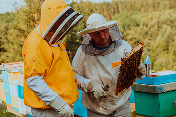 Image showing Beekeepers checking honey on the beehive frame in the field. Small business owners on apiary. Natural healthy food produceris working with bees and beehives on the apiary.