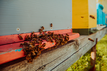 Image showing Close up photo of bees hovering around the hive carrying pollen