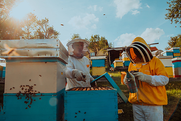 Image showing Beekeepers checking honey on the beehive frame in the field. Small business owners on apiary. Natural healthy food produceris working with bees and beehives on the apiary.