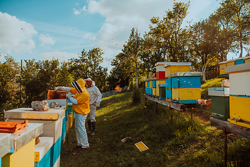 Image showing Beekeepers checking honey on the beehive frame in the field. Small business owners on apiary. Natural healthy food produceris working with bees and beehives on the apiary.