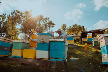 Image showing Beekeepers checking honey on the beehive frame in the field. Small business owners on apiary. Natural healthy food produceris working with bees and beehives on the apiary.